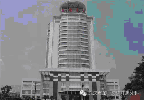 会诊1.bmp