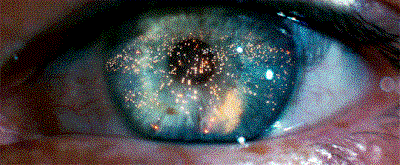 6.gif