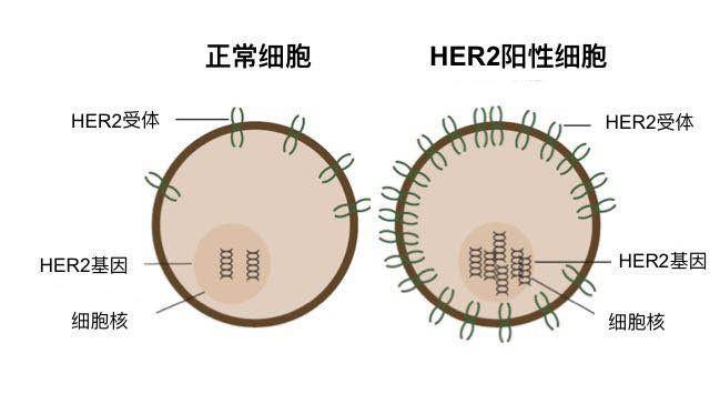 微信图片_20191210160127.jpg