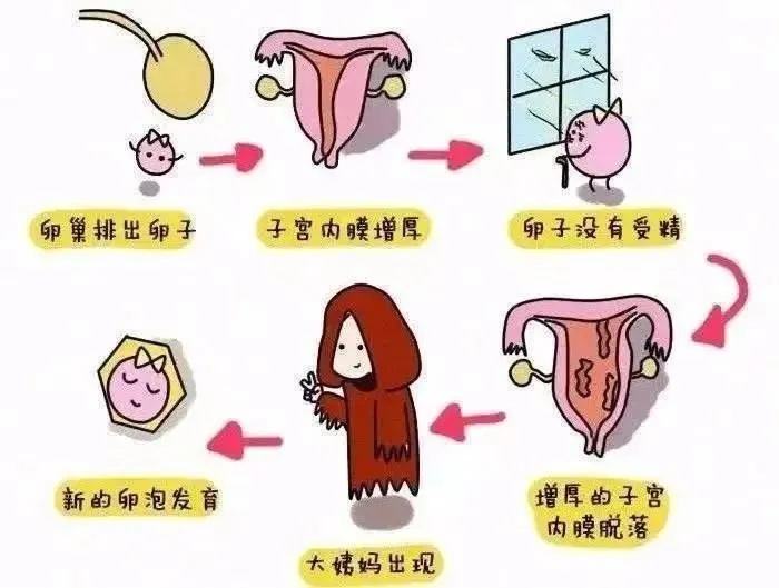 1a8904a9fc2125b79125c5aaec37cb2f-sz_46146.webp.jpg